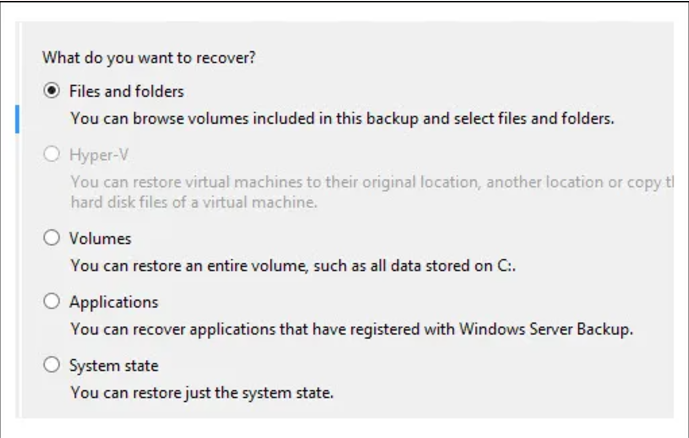 Now, choose the Files and Folders option to restore the database and log files.